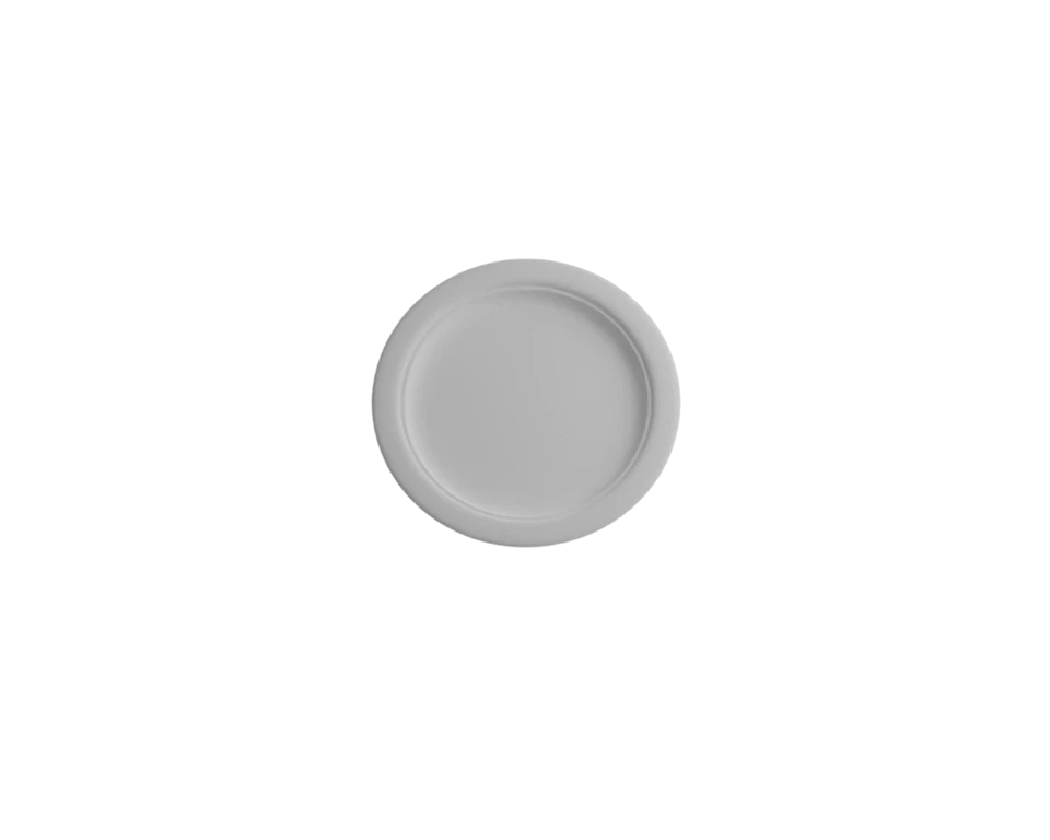 Compostable Dinner Plates best